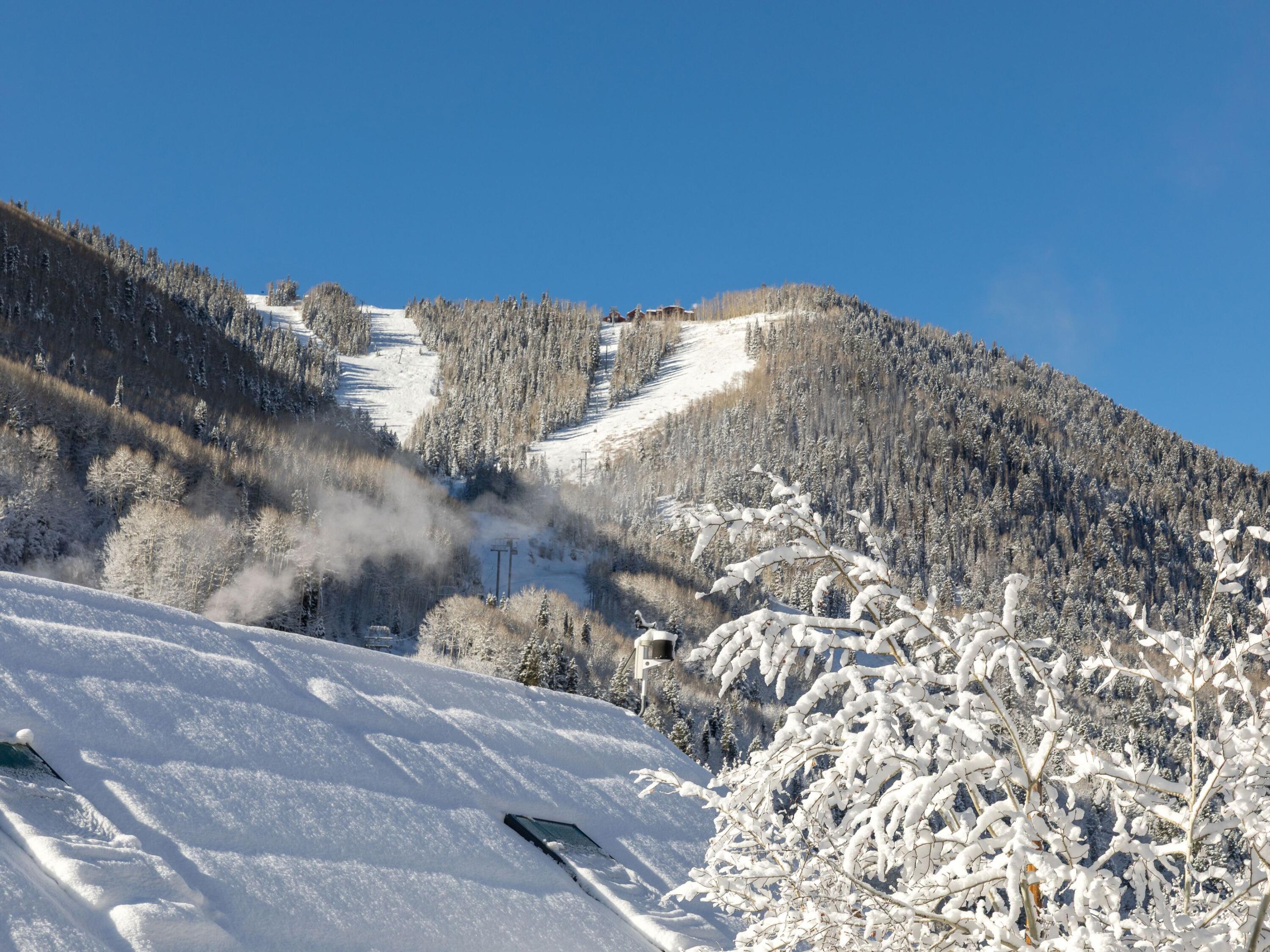 204 W Colorado Avenue