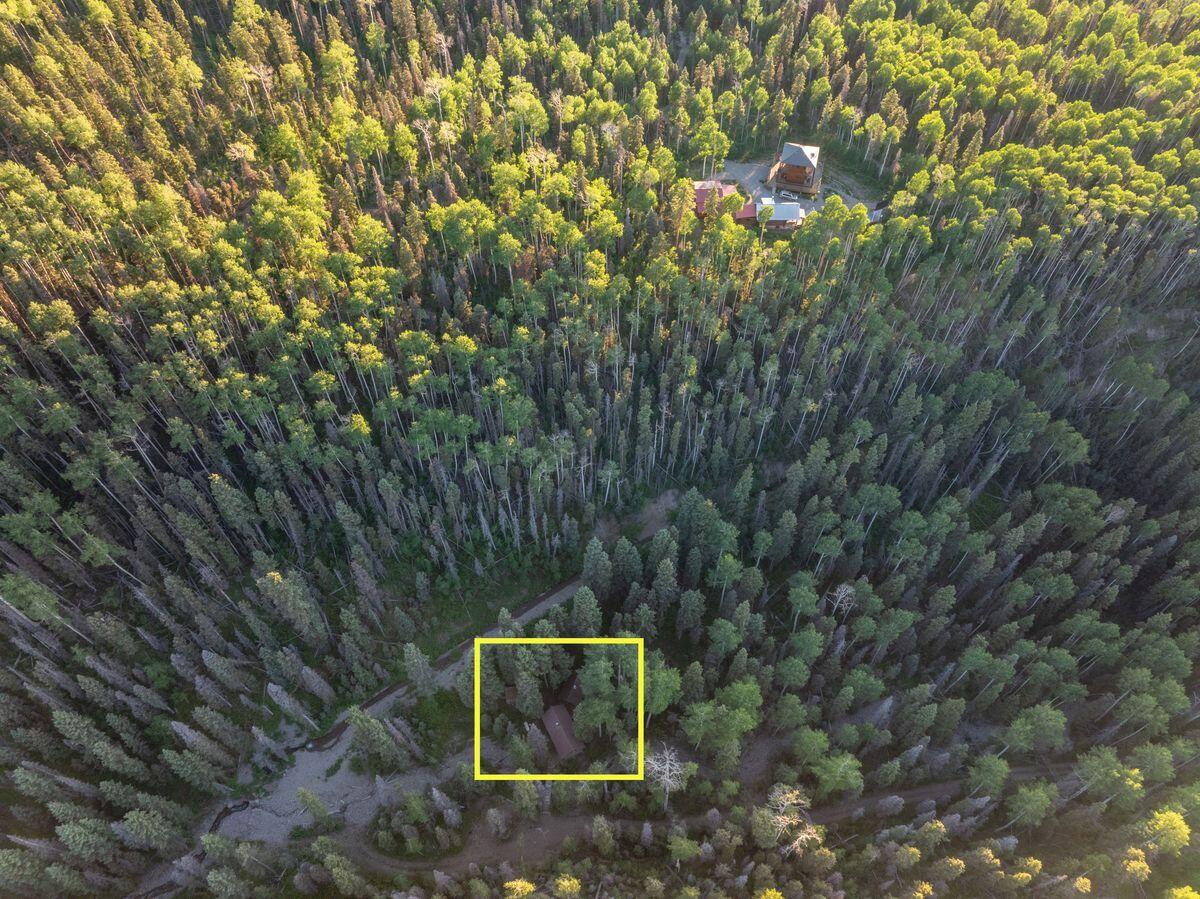 99 Forest Lane