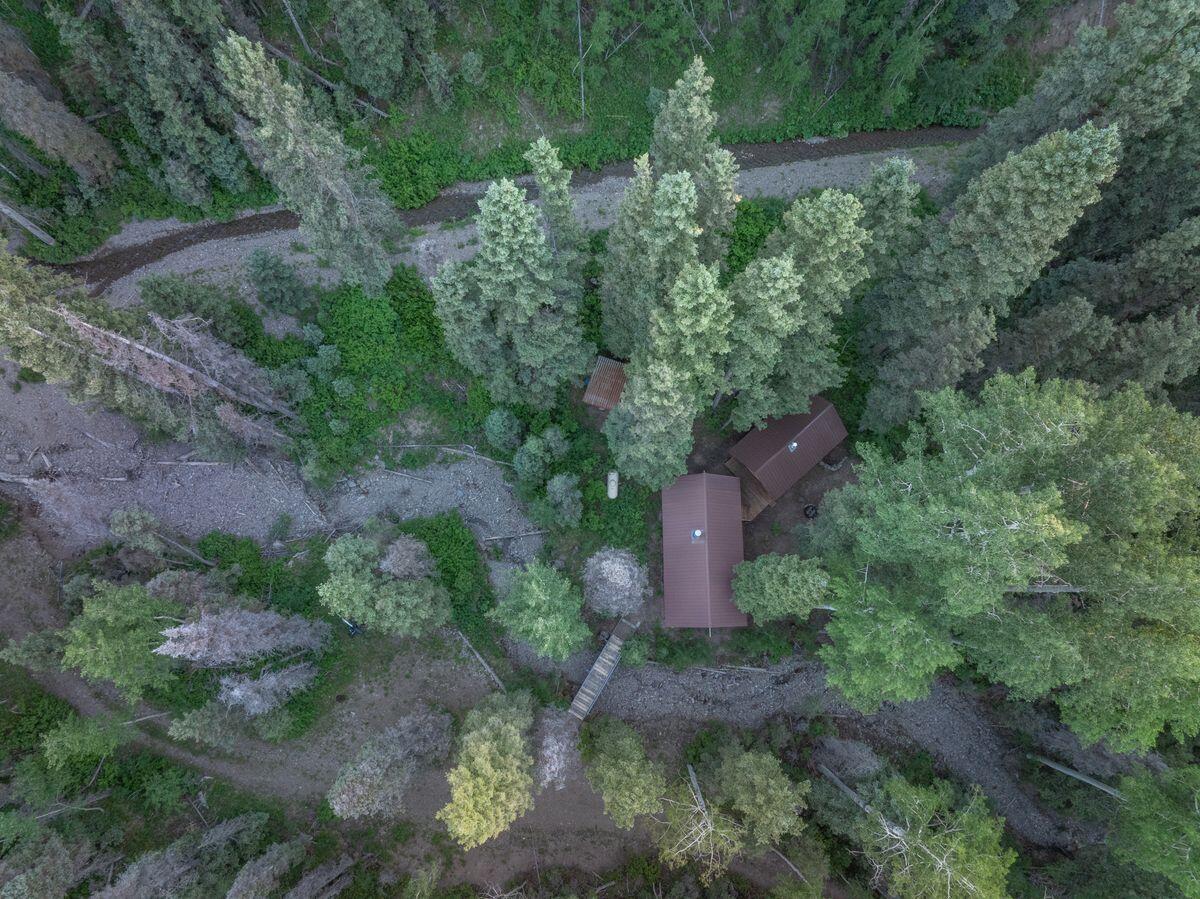 99 Forest Lane