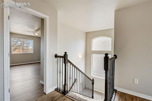 9671 Desert Lily Circle