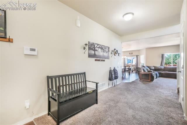 3668 Wild Daisy Drive