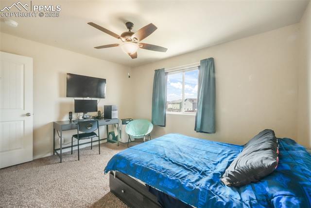 3668 Wild Daisy Drive