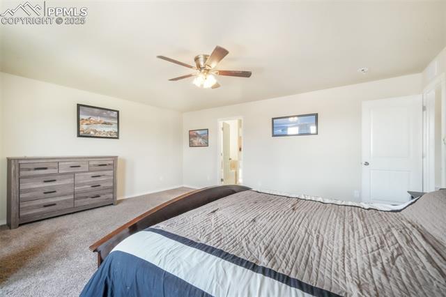 3668 Wild Daisy Drive