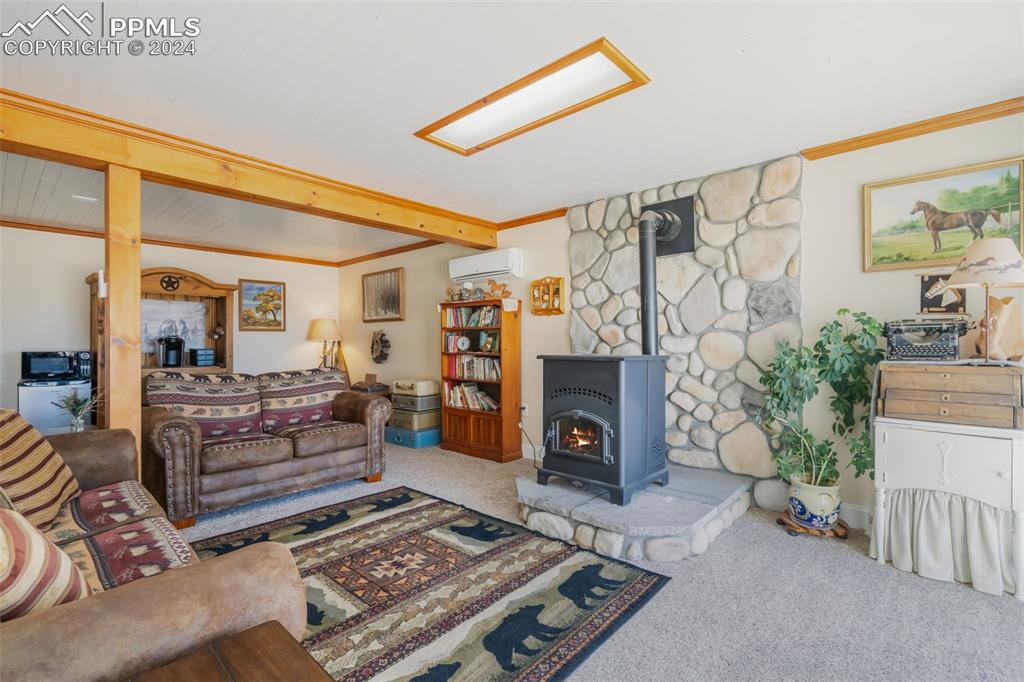 3021 Pikes Peak Road