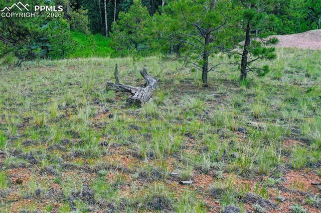 549 Spring Valley Lane