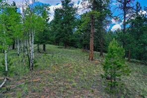 549 Spring Valley Lane
