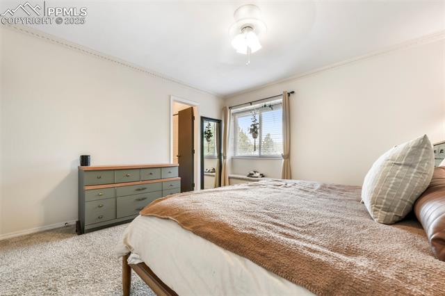 1024 Bromefield Drive