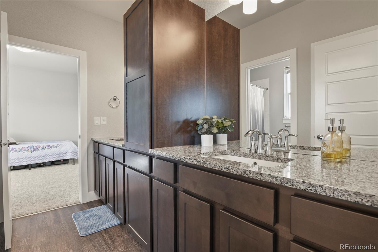 10035 Buck Gulch Court