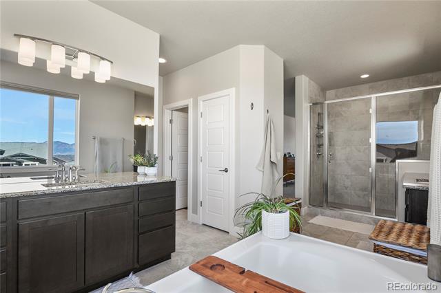 10035 Buck Gulch Court