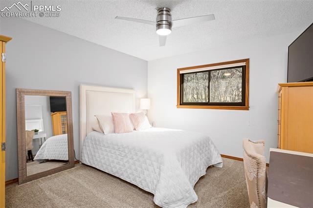 1165 Big Valley Drive