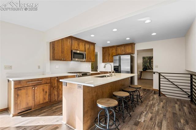 1165 Big Valley Drive