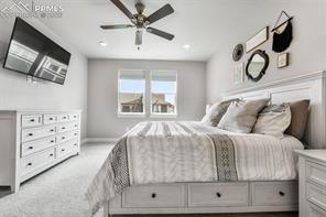 2115 Coyote Mint Drive