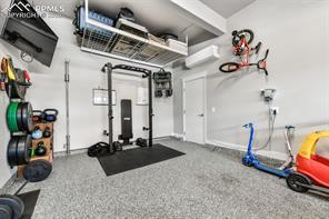 2115 Coyote Mint Drive