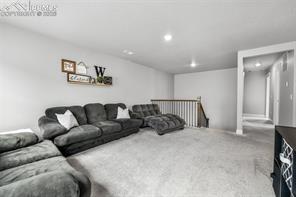 2115 Coyote Mint Drive
