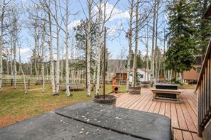 250 Bridle Drive