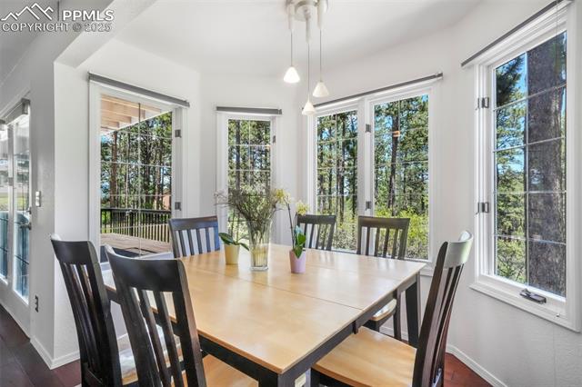 1240 Lone Scout Lookout