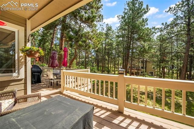 19165 Golden Arrow Circle