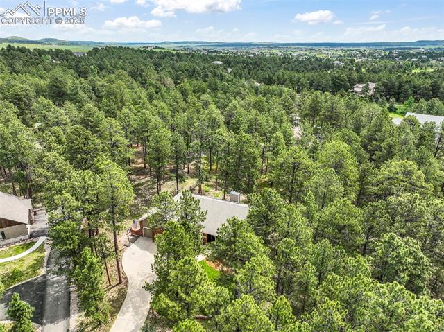 19165 Golden Arrow Circle