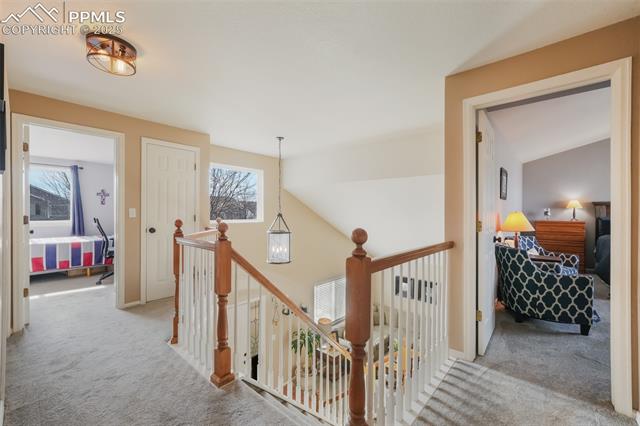 1033 Quarterhorse Trail