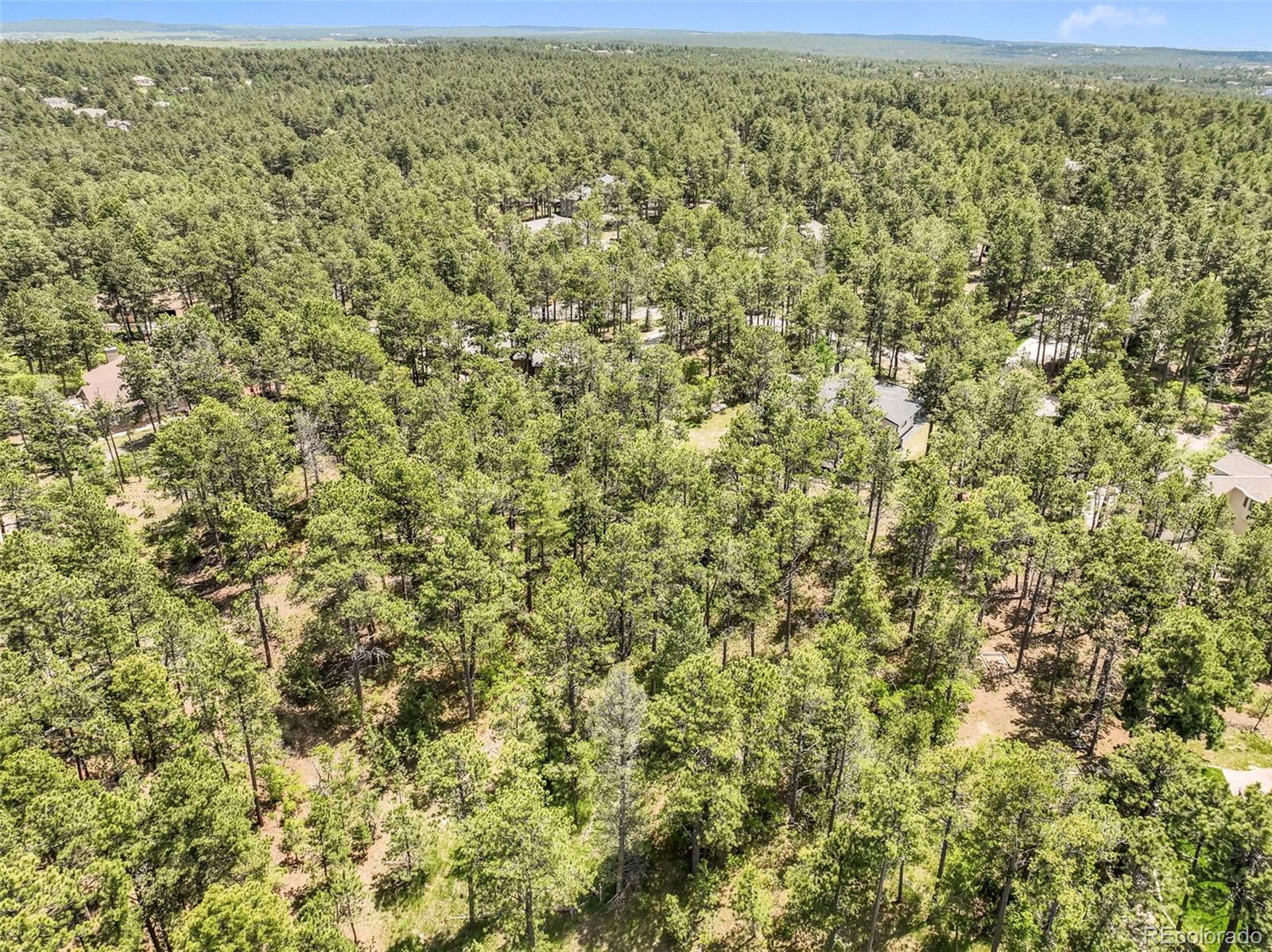 1180 Lone Scout Lookout