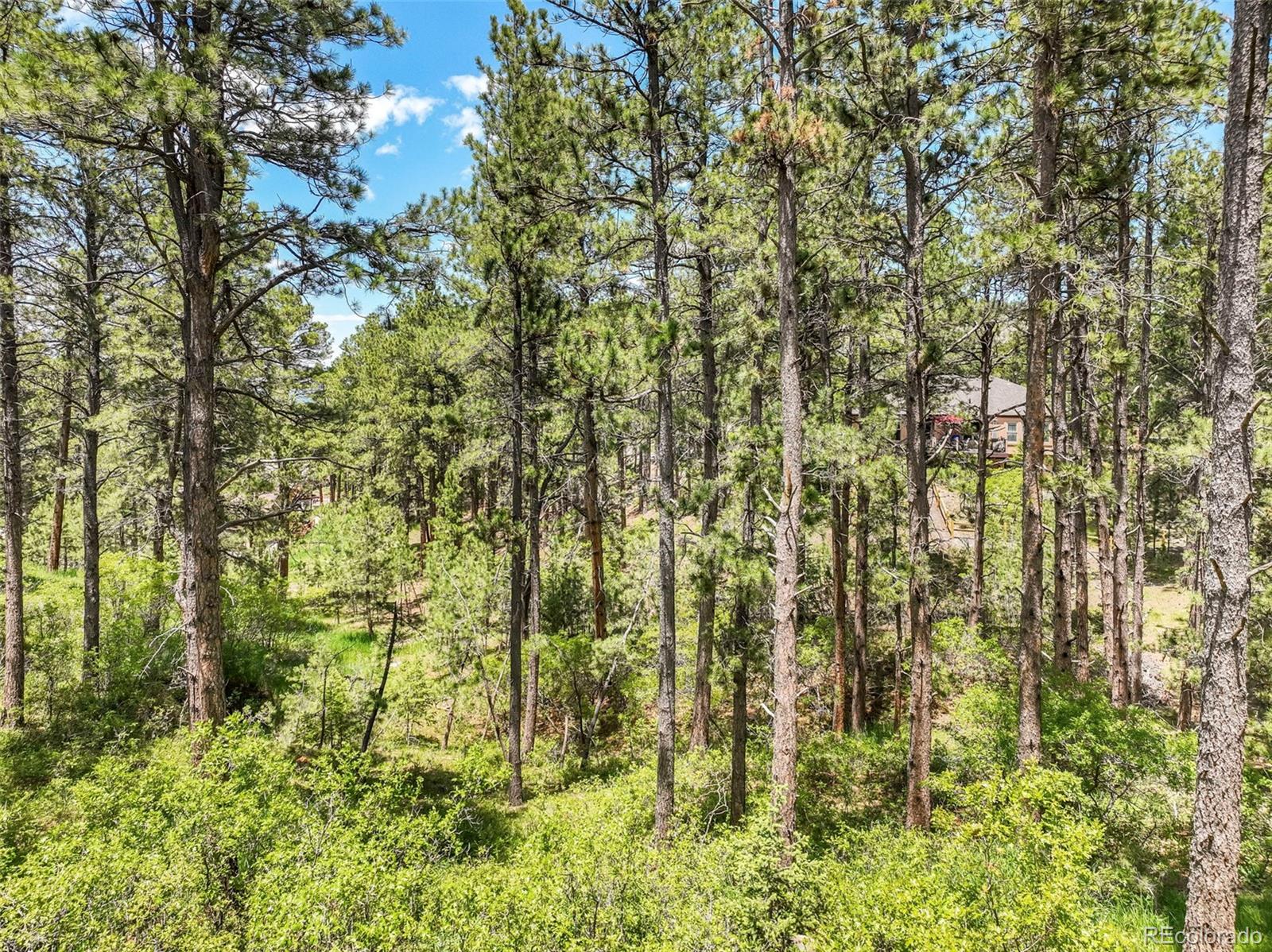 1180 Lone Scout Lookout