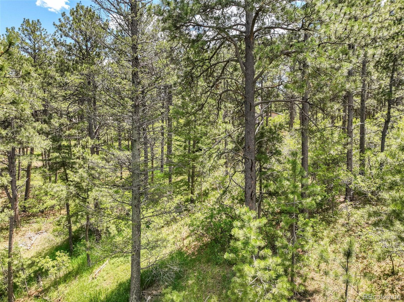 1180 Lone Scout Lookout