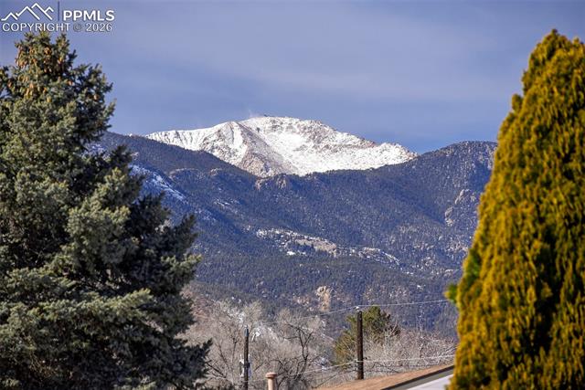 1051 Montrose Avenue