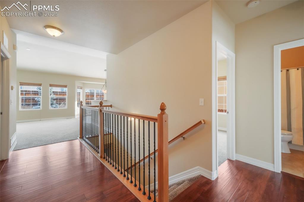 6962 Dusty Miller Way