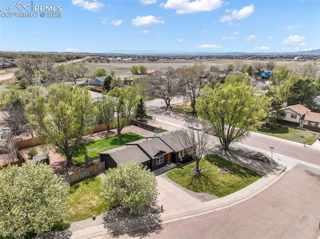 9615 Dutch Elm Drive