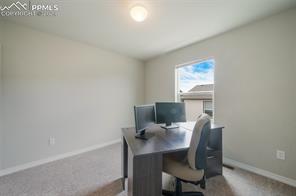 8039 Basaltic Drive