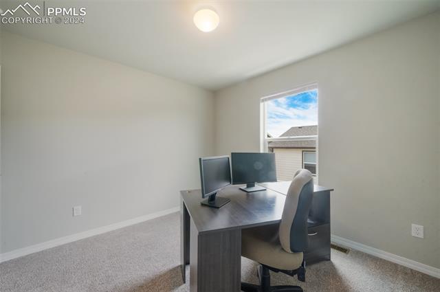 8039 Basaltic Drive
