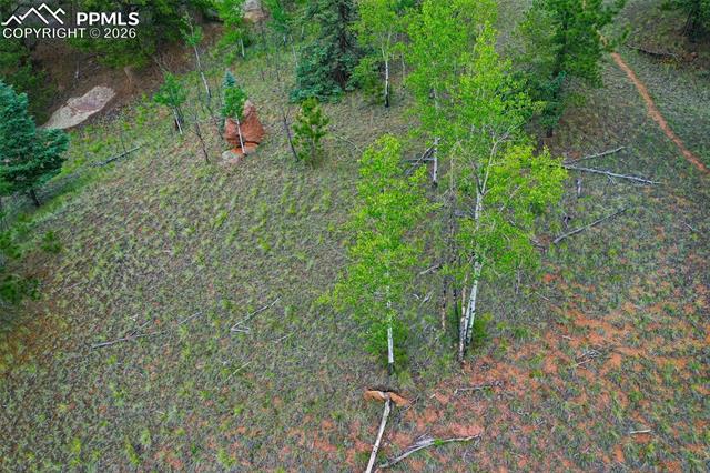 525 Spring Valley Lane