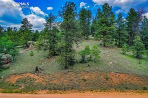 525 Spring Valley Lane