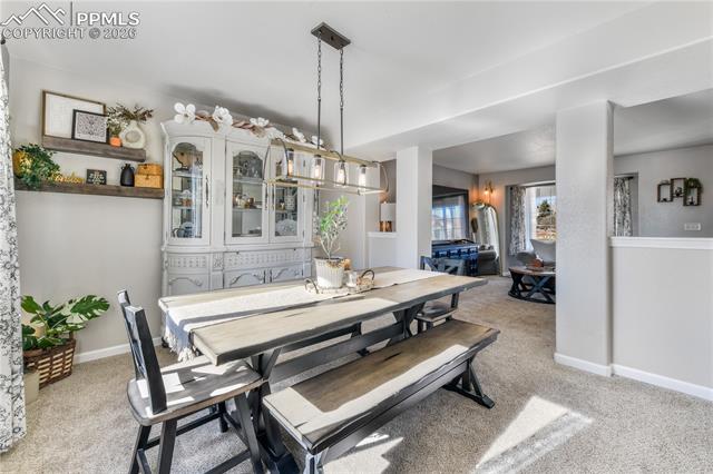 8141 Sedgewick Drive