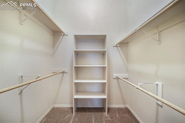 3890 Strawberry Field Grove F