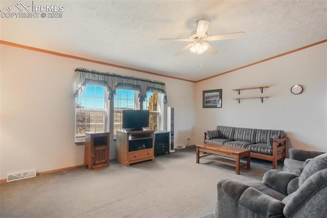 19605 Oslo Grove
