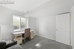 785 Mesa Creek Drive