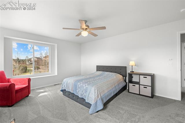 785 Mesa Creek Drive