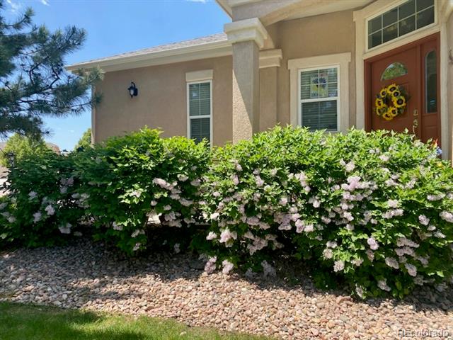 3272 Foxtail Court