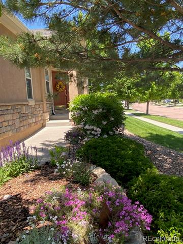 3272 Foxtail Court