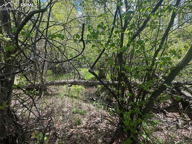 524 Buckhorn Road