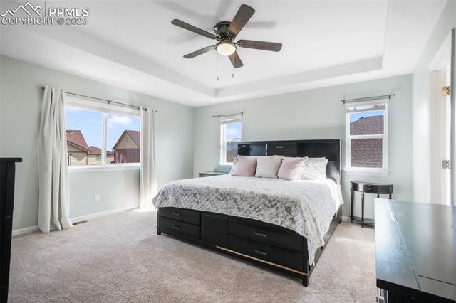 8239 Silver Birch Drive