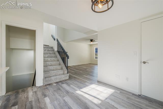 5125 Purcell Drive