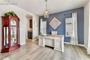 10751 Shavano Peak Court