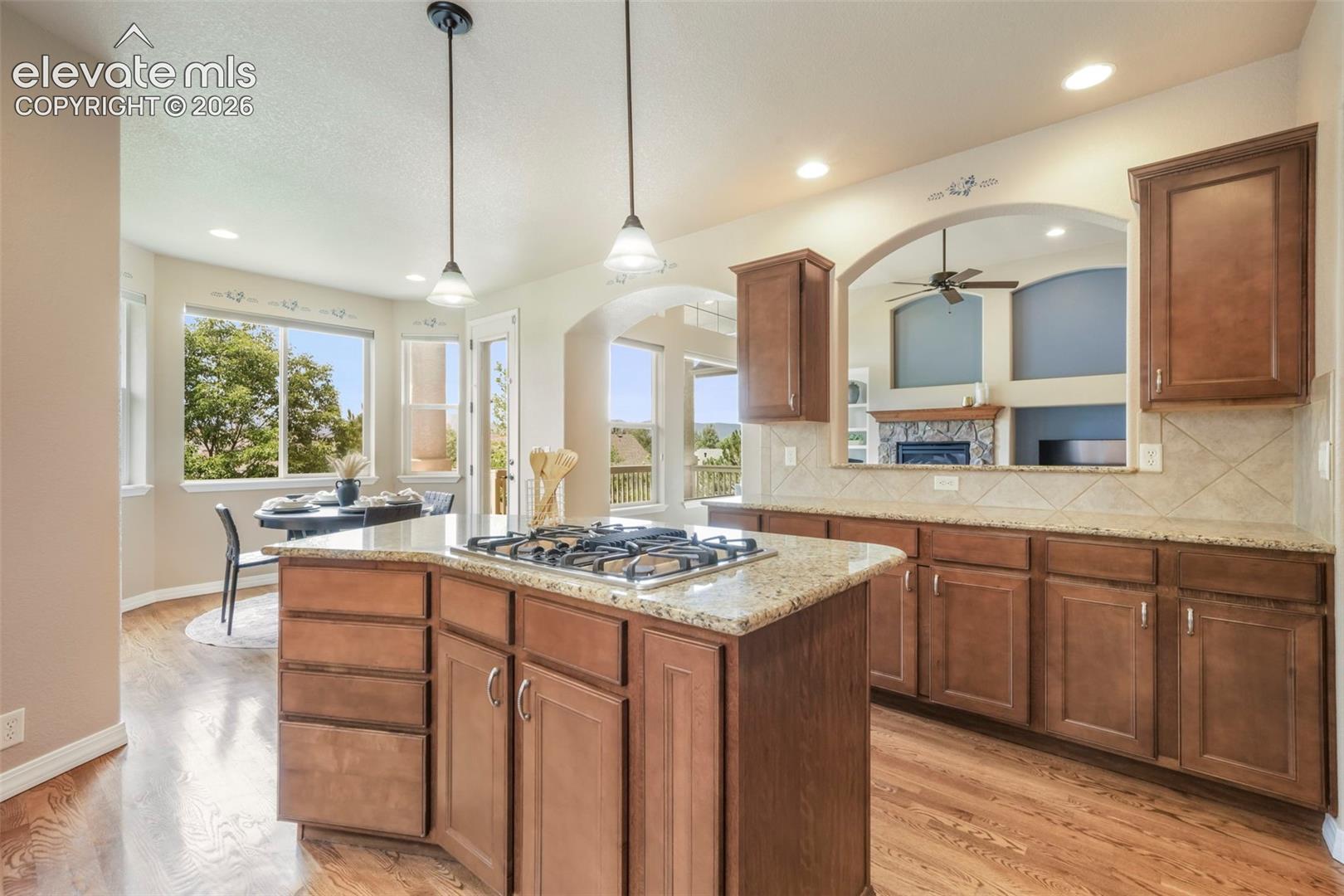 3605 Cherry Plum Drive