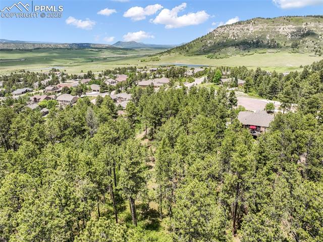 1180 Lone Scout Lookout