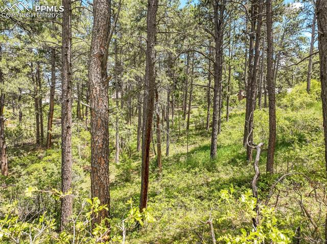 1180 Lone Scout Lookout