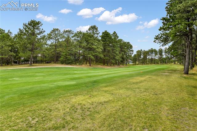 18690 Thunderbird Trail