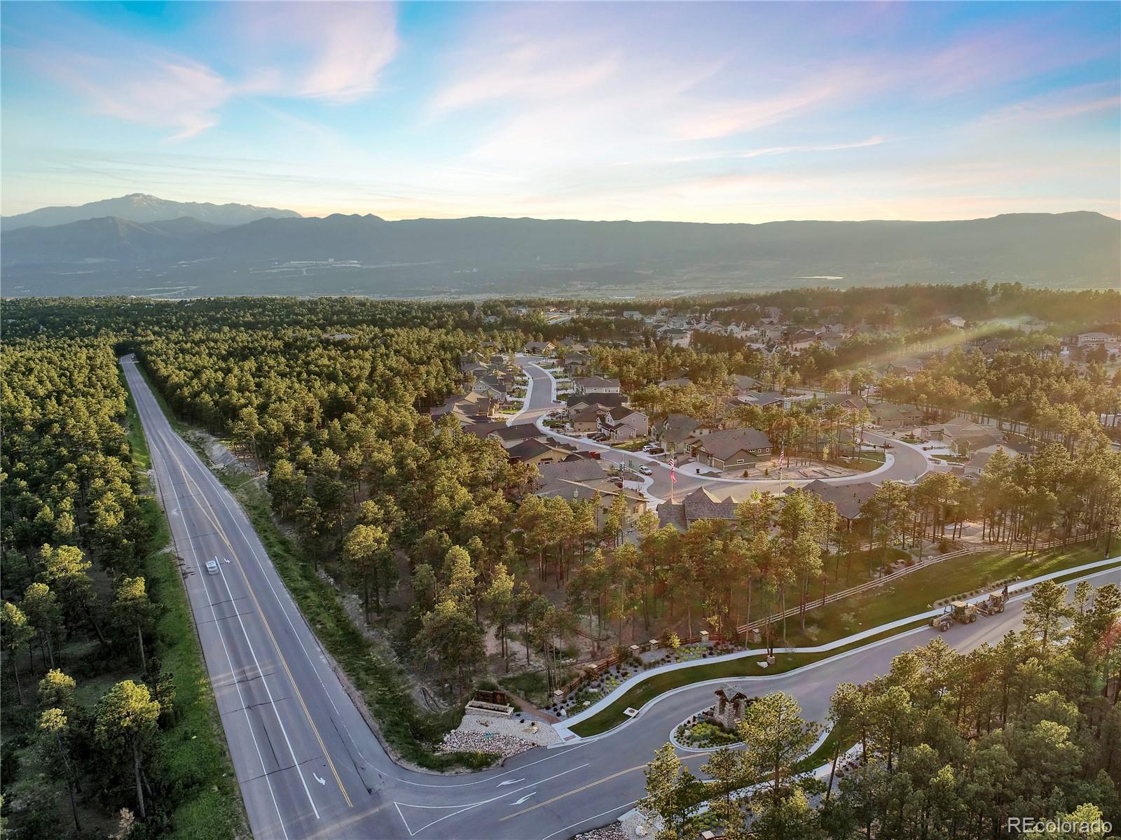 1004 Tree Bark Terrace