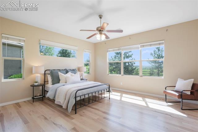 2739 Crooked Vine Court